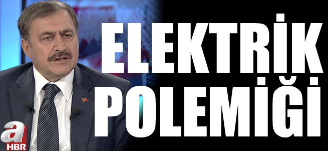 Elektrik polemiği