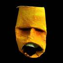 Garip bir sanat t�r�!
