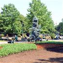 Gezi Park� �i�ek a�t�
