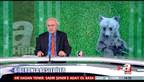 Yavru ay� koruma alt�nda
