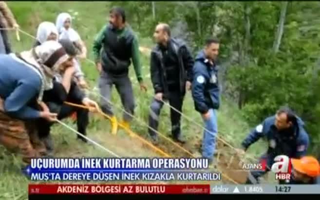 �nek kurtarma operasyonu
