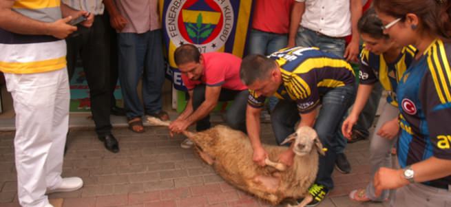 İstifayı kurban keserek kutladılar