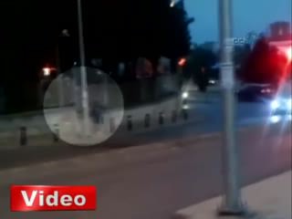 Hitchcock'un "Ku�lar" isimli filmi gerçek oldu