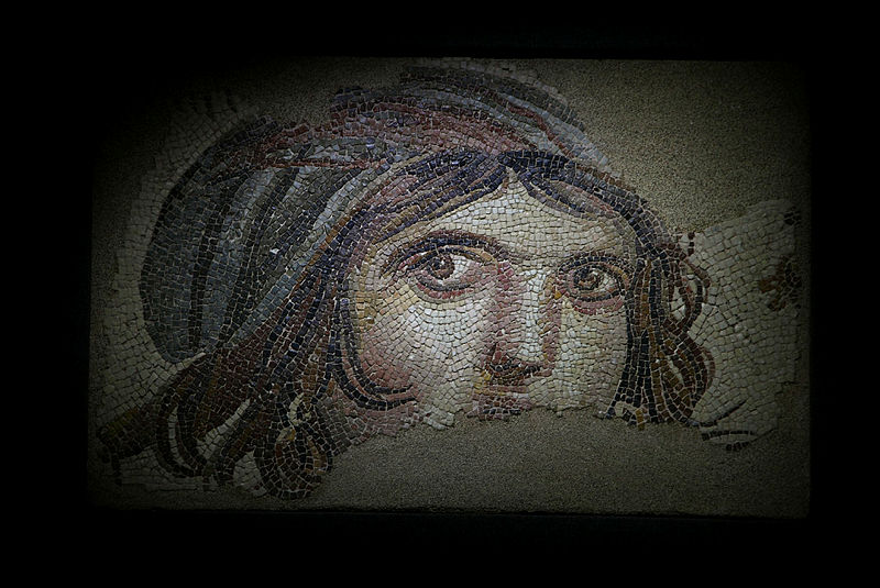 Zeugma Mosaic Museum draws interests of enthusiasts of history and culture