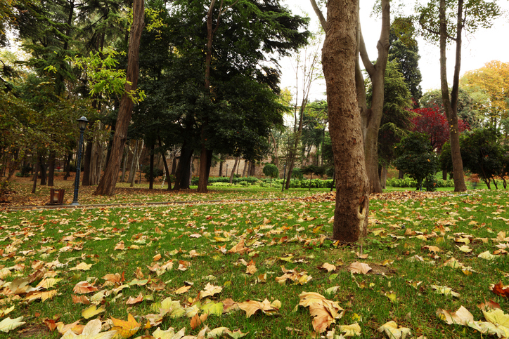 Gülhane: A wonderful haven for those trying to escape from summer heat
