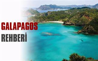 Do�al hayvanat bah�esi: Galapagos
