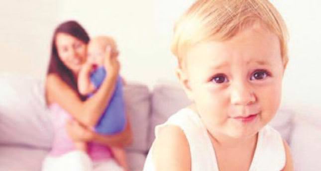 Sibling rivalry essay