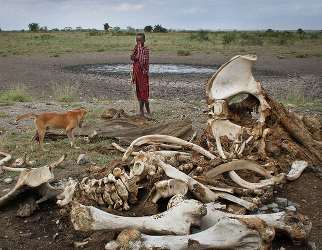 Tanzania to displace 40,000 Masai from ancestral land for Dubai royal family