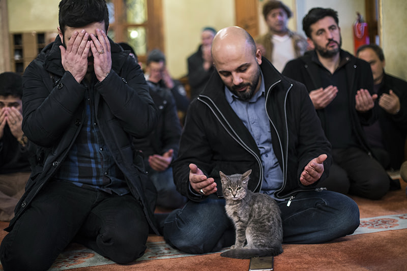 Фото ANADOLU AGENCY с сайта Daily Sabah