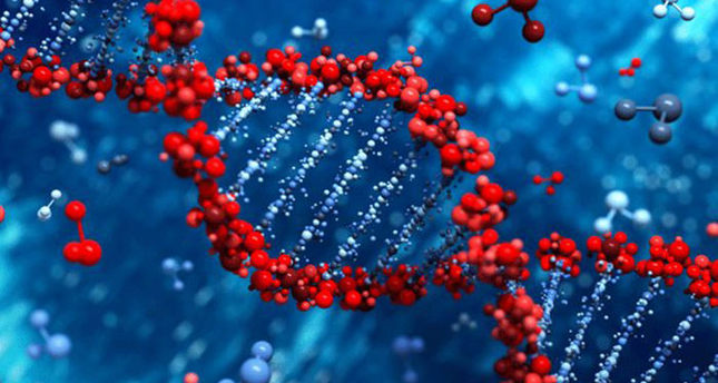 Scientists dissect DNA codes to find cure for cancer