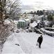 EU: weather chaos could lead to more regulation