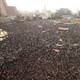 Mubarak pledge to step down dismissed as too slow