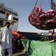 US sanctions Iranian, Turkish firms for missile aid