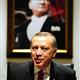 Turkey model is named the solution