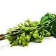 Turkey to list GMO�s on packaging