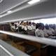 Scandinavians best at English, South Americans lag