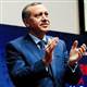 Large-scale exciting plans for Istanbul