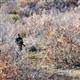 Turkish troops kill 7 terrorists in clash