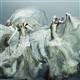 Retrospective highlights Alexander McQueen's career