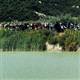 Syrian forces head for second northern protest town