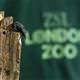 London summer nights: The top five