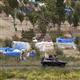 Syrian forces shoot dead 14 in Hama