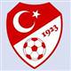 Turkey's football federation postpones Super Cup