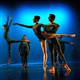 Bodrum�s International Ballet Festival begins