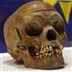 Germany returns skulls from colonial era to Namibia