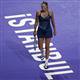 Wozniacki, Sharapova lead field in Istanbul