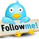 Prince Alwaleed buys $300 mln Twitter stake
