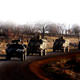 Special Forces reach PKK bases