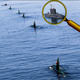 Iran threatens U.S. Navy as sanctions hit economy
