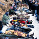 �Turkey was set up�