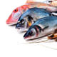 Europe�s fish provided by Turkey