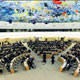 Syria and Israel refuse UN Human Rights Council entry