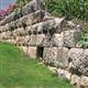 Skeletons of children found in Hellenistic shrine