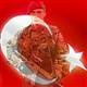 Turkey�s army is NATO�s second largest