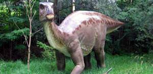 Dinosaur tourism at your service