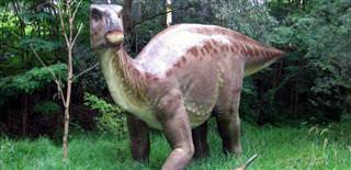 Dinosaur tourism at your service