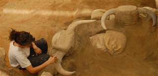 Çatalhöyük makes world heritage list