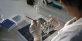 Turkey�s scientists residing abroad are migrating back to Turkey