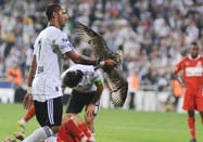 Q7'nin av maceras�