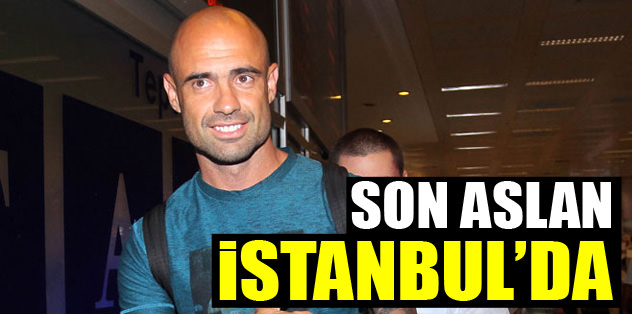 Son Aslan İstanbul'da