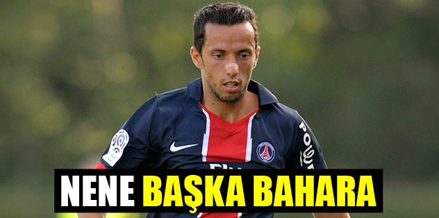 Nene başka bahara