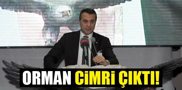 Orman cimri çıktı