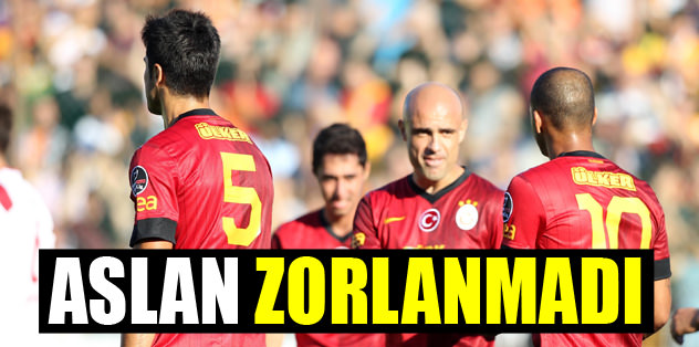 Aslan zorlanmadı