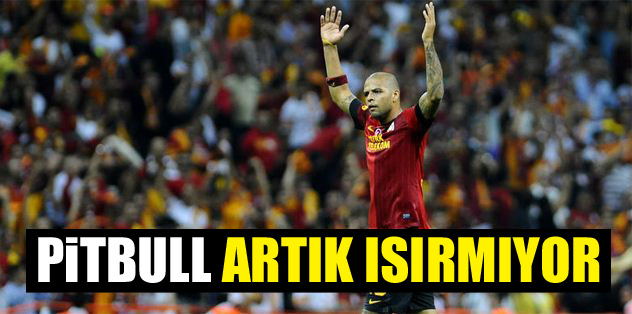 Pitbull artık ısırmıyor