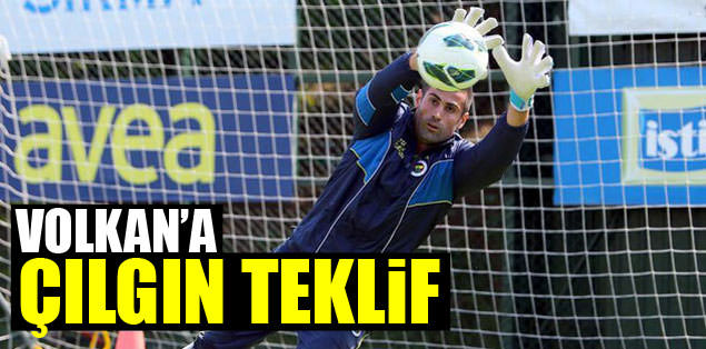 Çılgın teklif