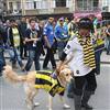 Kad�köy inledi!